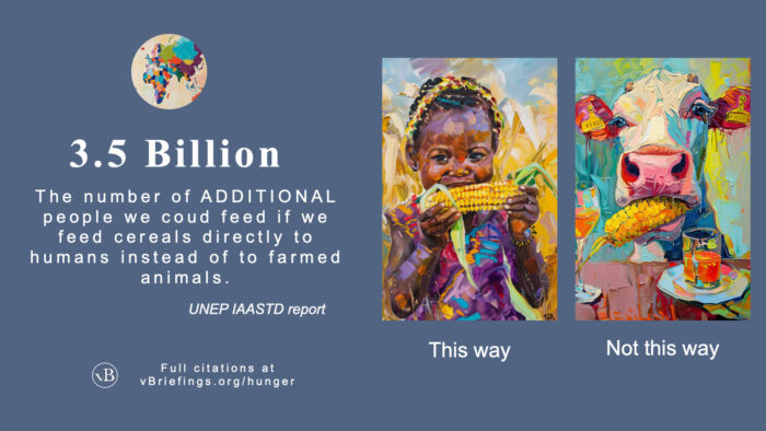 Graphic comparing two outcomes: on the left, text reads “3.5 Billion” and explains that this is the number of additional people who could be fed if cereals were fed directly to humans instead of to farmed animals, citing the UNEP IAASTD report, with a note that full citations are at vBriefings.org/hunger. On the right are two stylized images: a child eating corn labeled “This way,” and a cow eating corn labeled “Not this way,” illustrating direct human consumption versus feeding crops to animals.