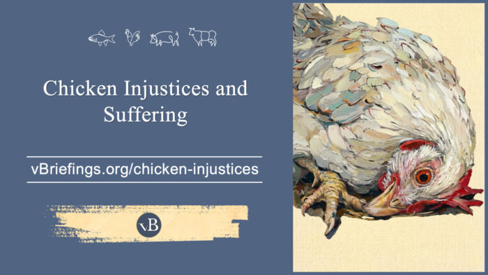 A graphic with small line-art animal icons across the top and the text “Chicken Injustices and Suffering” with the URL vBriefings.org/chicken-injustices on a blue background, and a painted image on the right of a chicken lying on the ground.