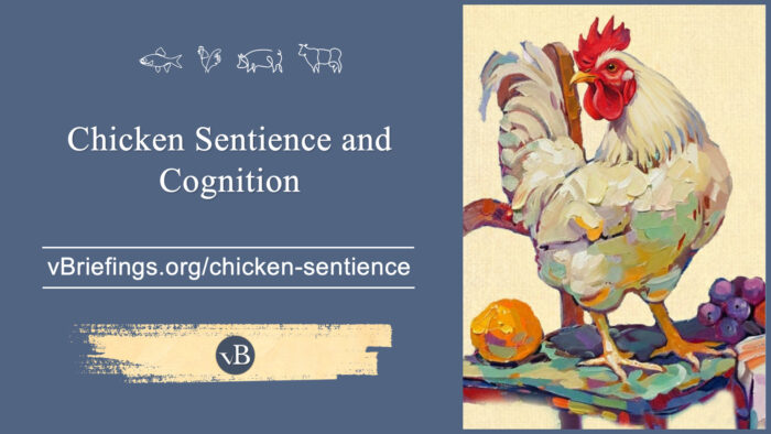 A graphic showing the title “Chicken Sentience and Cognition” with the URL vBriefings.org/chicken-sentience on a blue background, alongside a colorful painted rooster standing on a small table with fruit, and small line-art farm animal icons across the top.