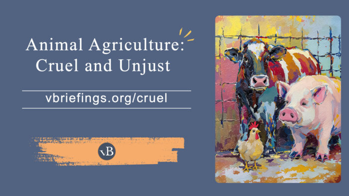 A graphic titled “Animal Agriculture: Cruel and Unjust.” On the left, the title appears in white text on a muted blue background with the URL “vbriefings.org/cruel” beneath it. On the right, a colorful, painterly illustration shows a cow, a pig, and a chicken standing together in a confined farm-like setting, suggesting the shared suffering of animals in agriculture.