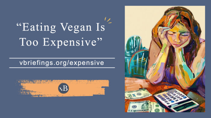 A graphic with the quoted claim “Eating Vegan Is Too Expensive,” the URL vbriefings.org/expensive, and a painterly illustration of a person with their head in their hands looking down at a calculator and money.