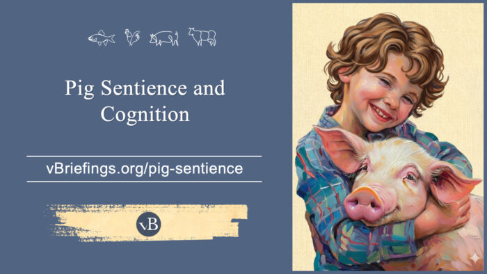 A graphic with small line-art animal icons across the top and the text “Pig Sentience and Cognition” with the URL vBriefings.org/pig-sentience on a blue background, and on the right a painted child hugging a pig.